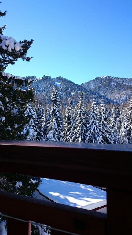 Tes Rila Park Apartments Borovets Room photo