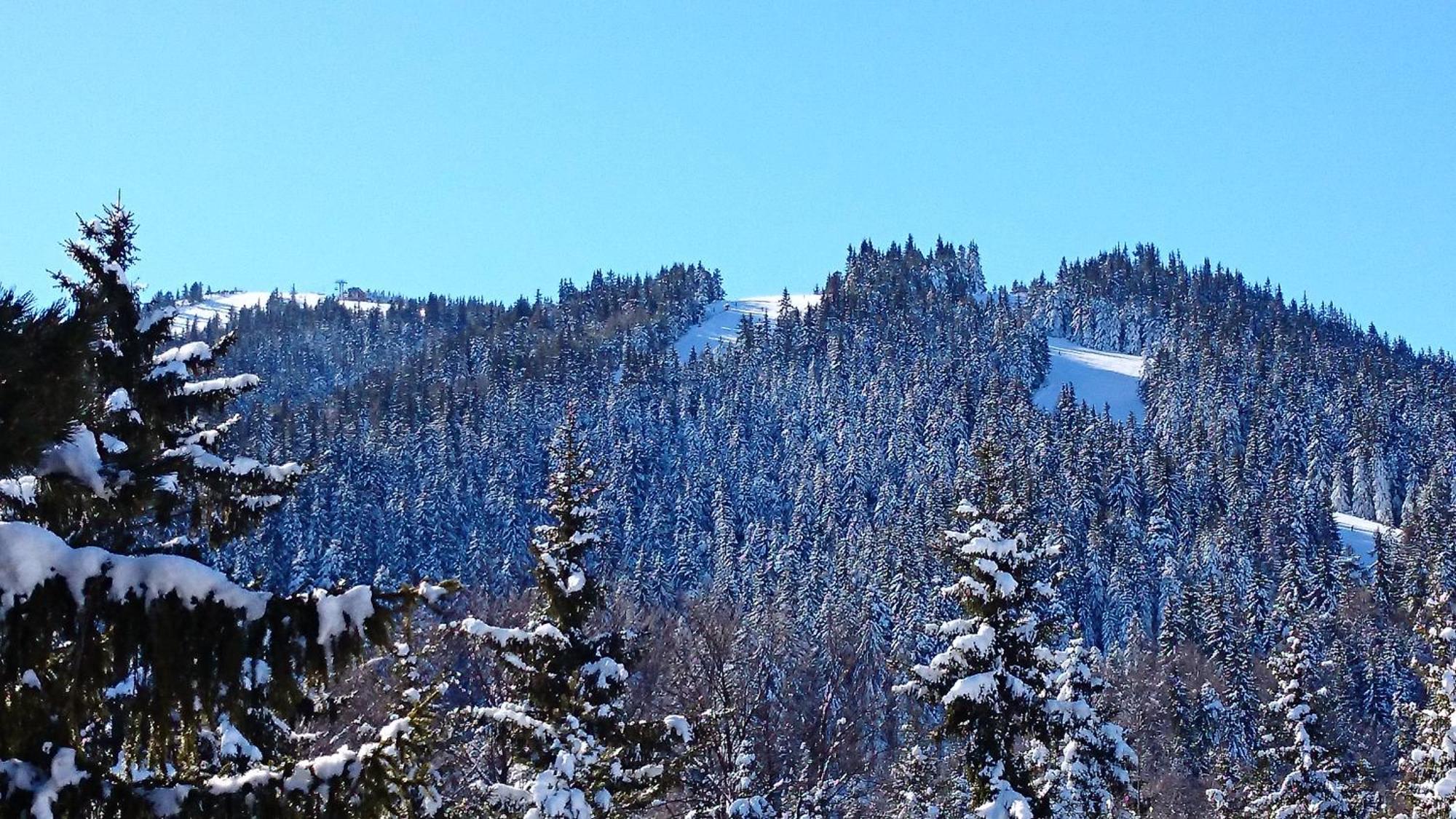 Tes Rila Park Apartments Borovets Exterior photo